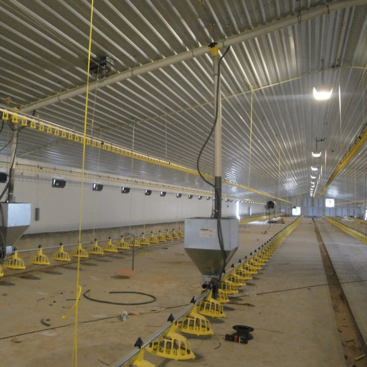 Schnell Montieren Stahlstruktur Huhn Verwenden Geflügelhaus / Chickend Farm / Broiler Hühnerstall