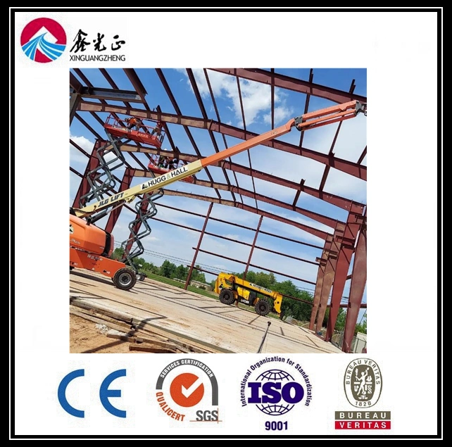 Prefabricated Warehouse Metal Building Steel Warehouse (BYSS-101)