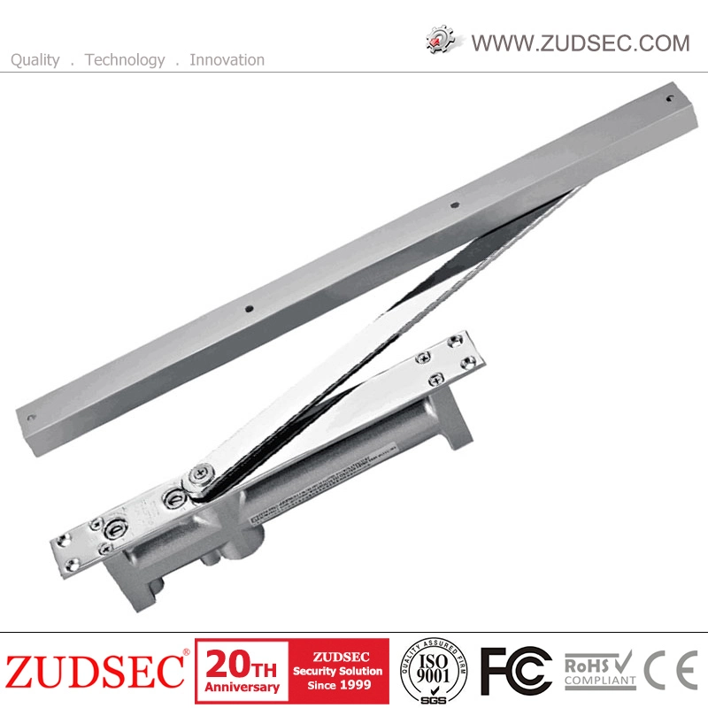 Hot Sale Hydraulic Invisible Guide Rail Circular Concealed Door Closer for Wood Door