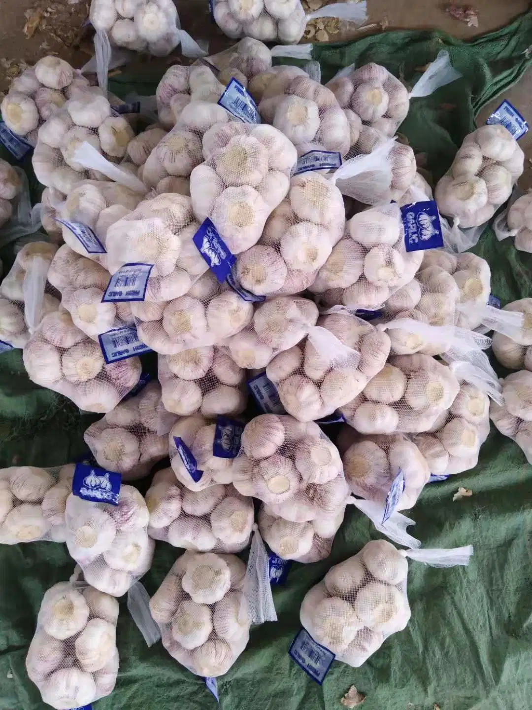 Fresh Small Pacakge White Garlic with High quality/High cost performance Standard