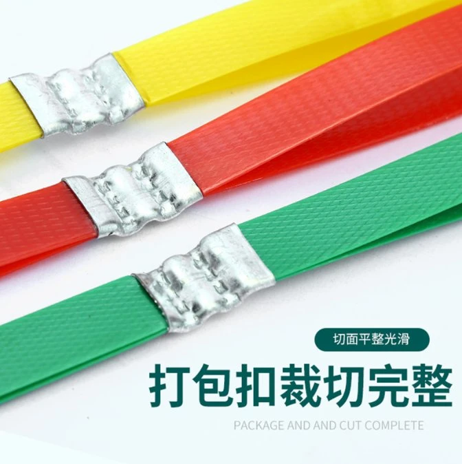 Cinta de plástico de PET cinta de sujeción cinta de sujeción cinturón