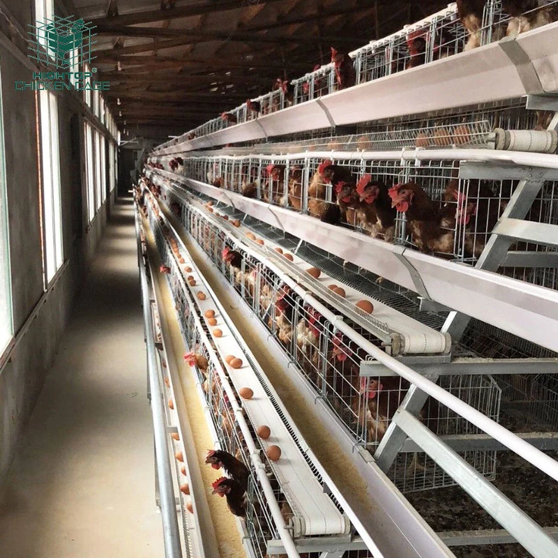 Design Hightop Geflügel Farm Fütterungsgeräte voll automatisch A Typ 3 Tierschicht-Zucht Chicken Cage Zum Verkauf In Israel Tansania Nigeria