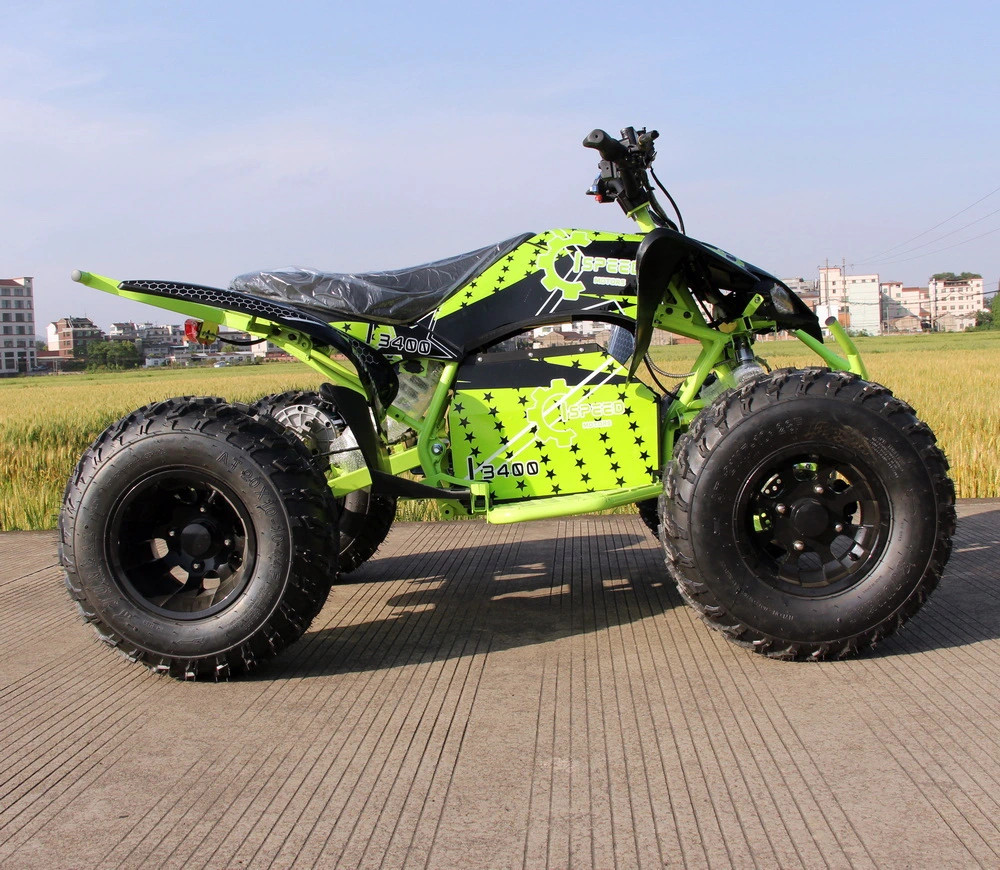 Dew Design Raptor Sport Electric Quad Bikes for Adults Four Wheels ATV 4000W 5000W 8000W