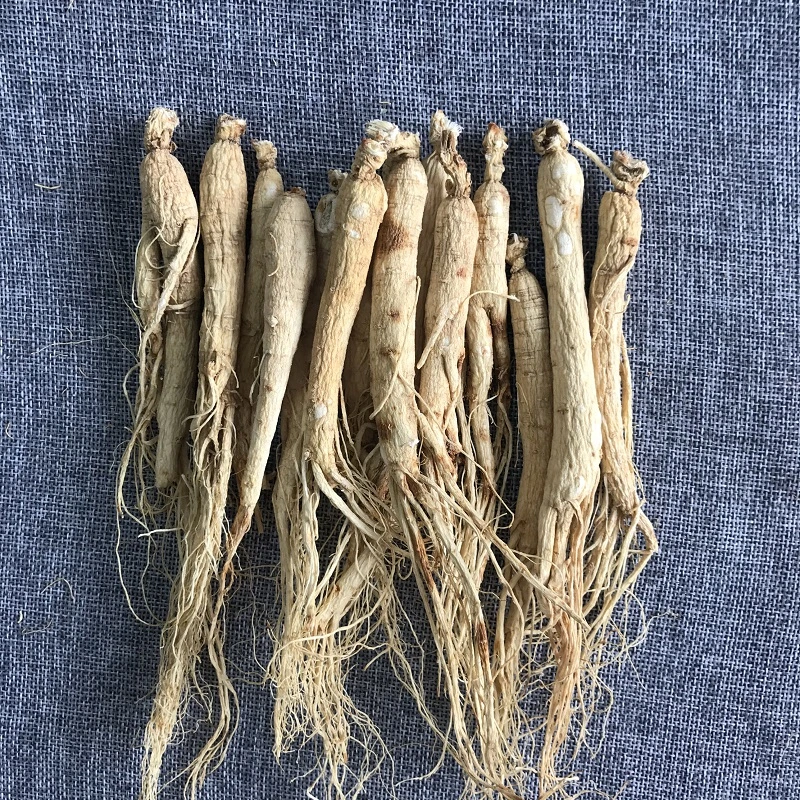 Ren Shen Chinese Herbal Medicine Dried Panax Ginseng Root