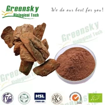 Pine Bark Extract Free Sample Proanthocyanidins 95% OPC