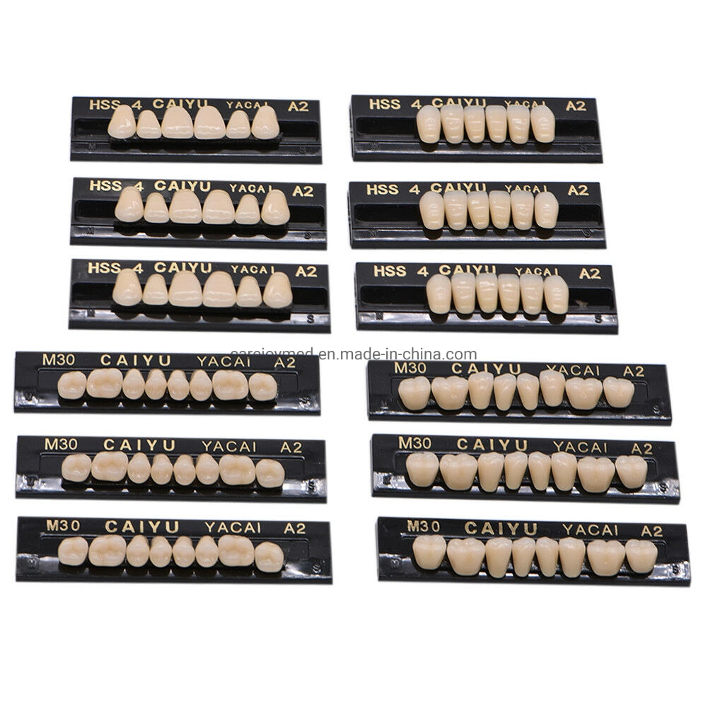 Factory Advanced Type Dental Artificial Denture Acrylic Resin Teeth Set