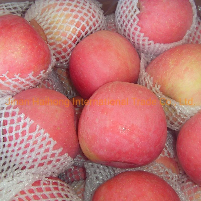 El chino FUJI dulce de manzana manzana roja para la venta con precios baratos