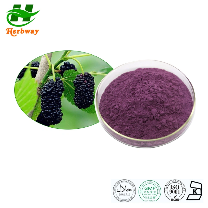 Herbway Factory Direct Sale Morus Alba L. Powder Mulberry Fruit Extract