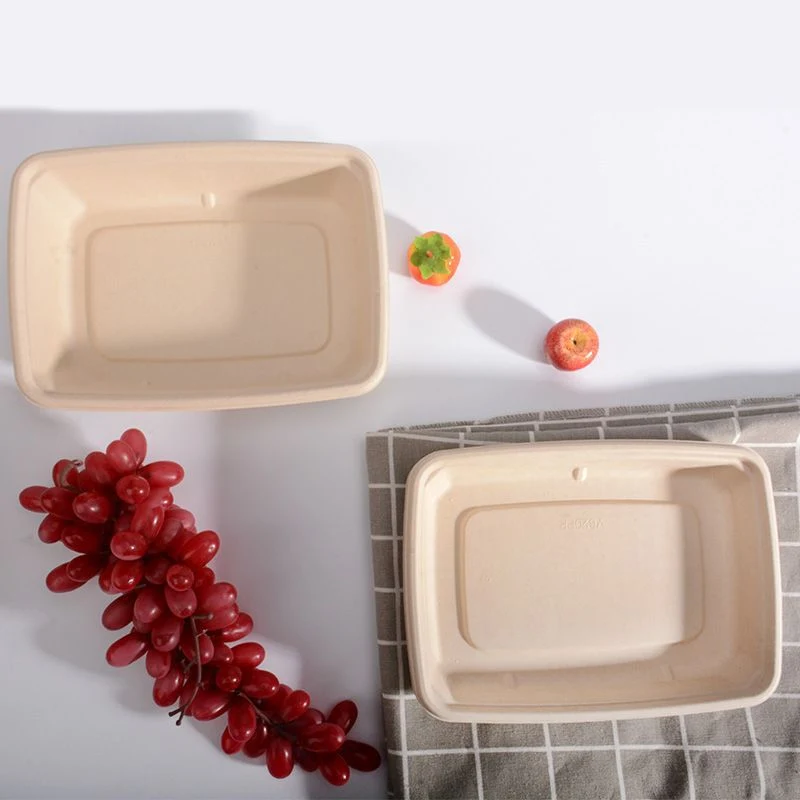 OEM Custom Disposable Natural Pulp Tableware Single Cell 950ml Lunch Box with Lid (GO-111)