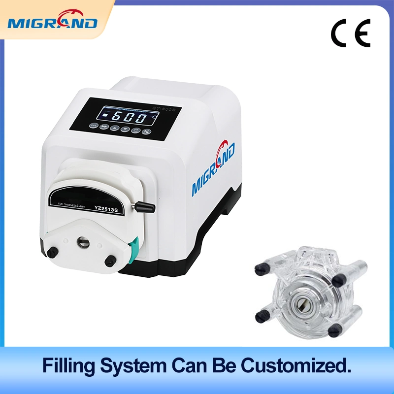 Bt100 Series High quality/High cost performance  150rpm Peristaltic Pump Digital Industrial Peristaltic Dosing Pump System