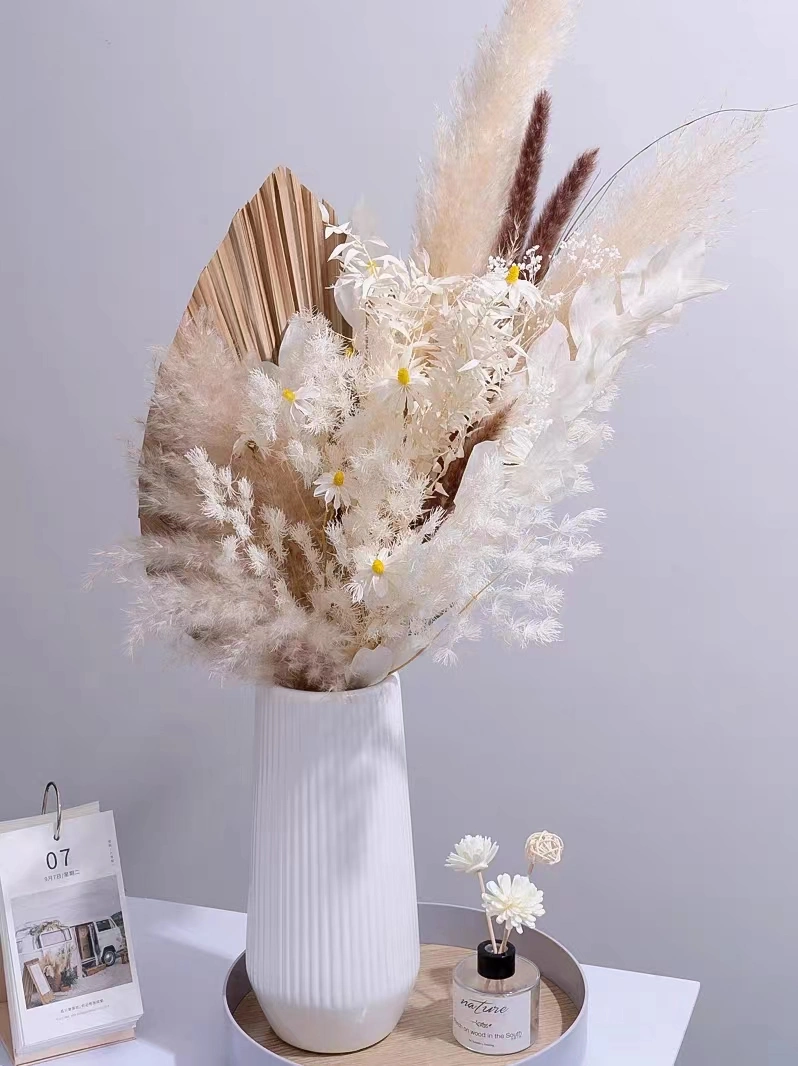 Fauxing Pampas Beige Artificial Dried Flowers with Branches for Home Wedding Decoration