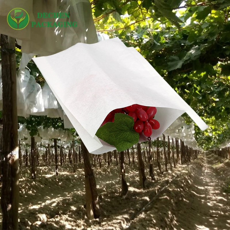 Wholesale/Supplier Grape Bags 20*30 18*28 Mango Protecting Paper Peach Grow Pear Protection Bag