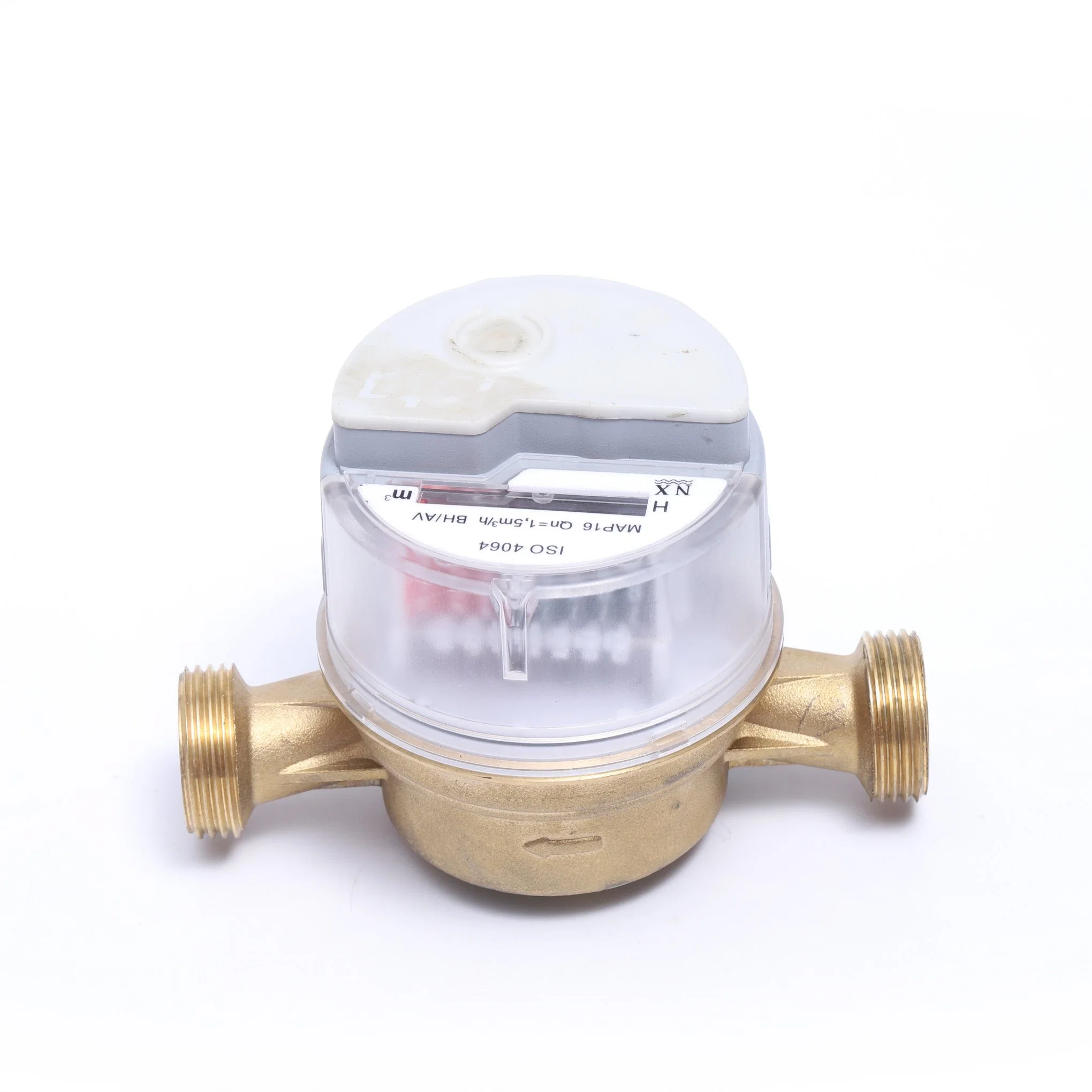 R100 Single Jet Dry Type Water Meter with AMR (13D-9)