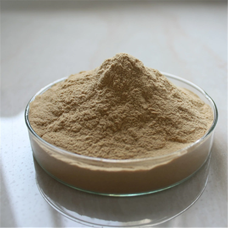 Anti Cancer Broccoli Extract Powder