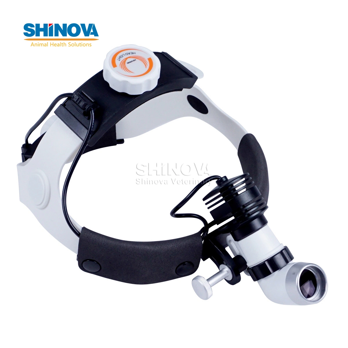 Veterinary High Power Head Light (HL-202A-6)