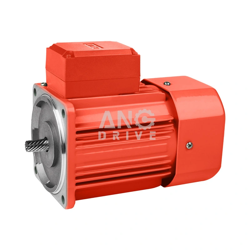 AC Small Gear Motor, Speed Adjustable Gearbox, Right Angle Gear Boxes, Electric Motors