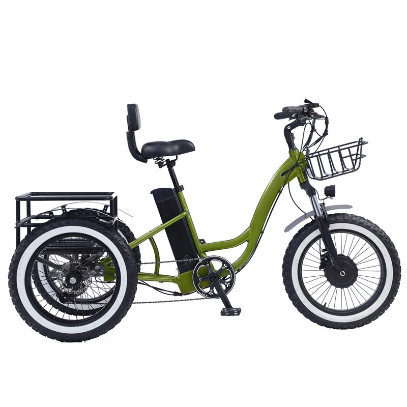 Nuevo controlador helado eléctrico Sedan Tricycle Scooter Bike Europa
