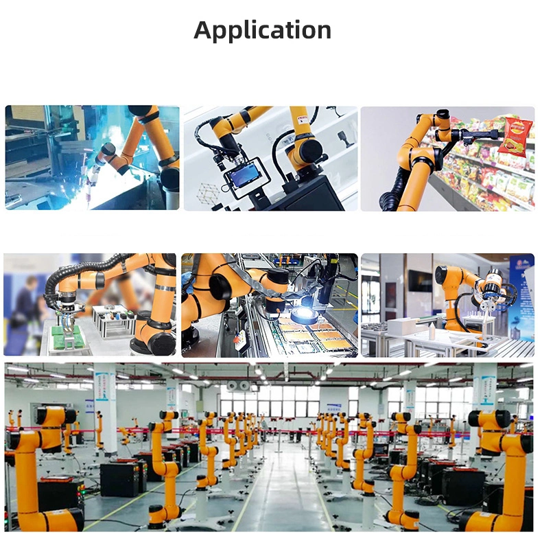High quality/High cost performance  Industrial Robot Arm 6 Axis OEM Cobot Arm Collaborative Robot