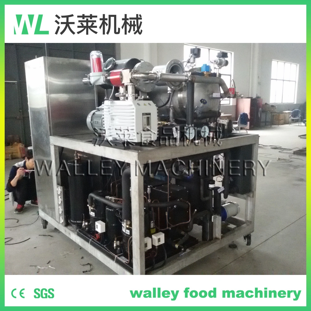 Laboratory Vacuum Freeze Drying Equipment for Experimental Use