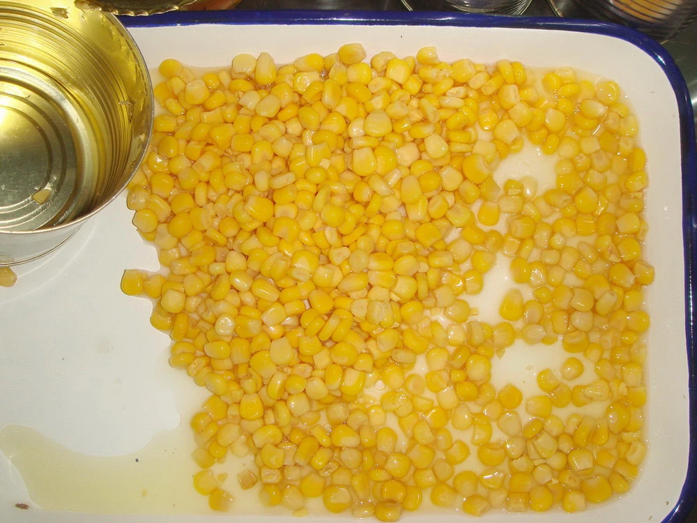 Canned Sweet Corn Whole Grain in Brine 800g