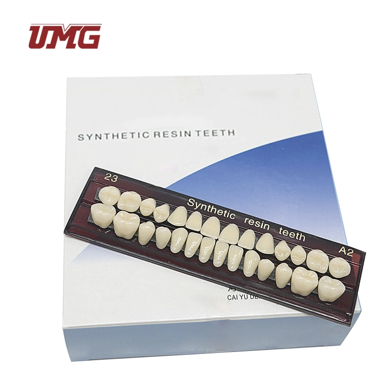 Dos capas de resina sintética de los dientes artificiales para la venta