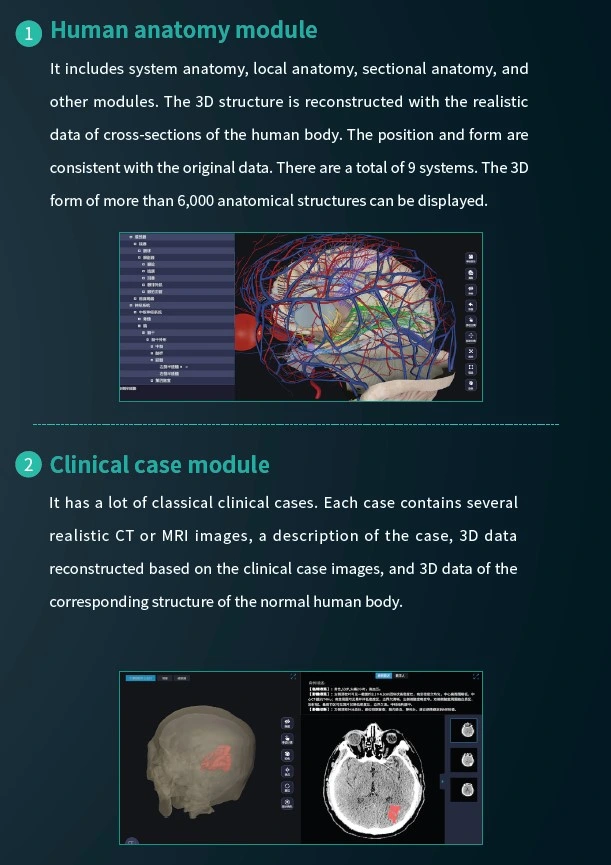 La fábrica Digital Nuevo Sistema del Cuerpo Humano Virtual escuela de la autopsia Disección de anatomía de la tabla para la universidad