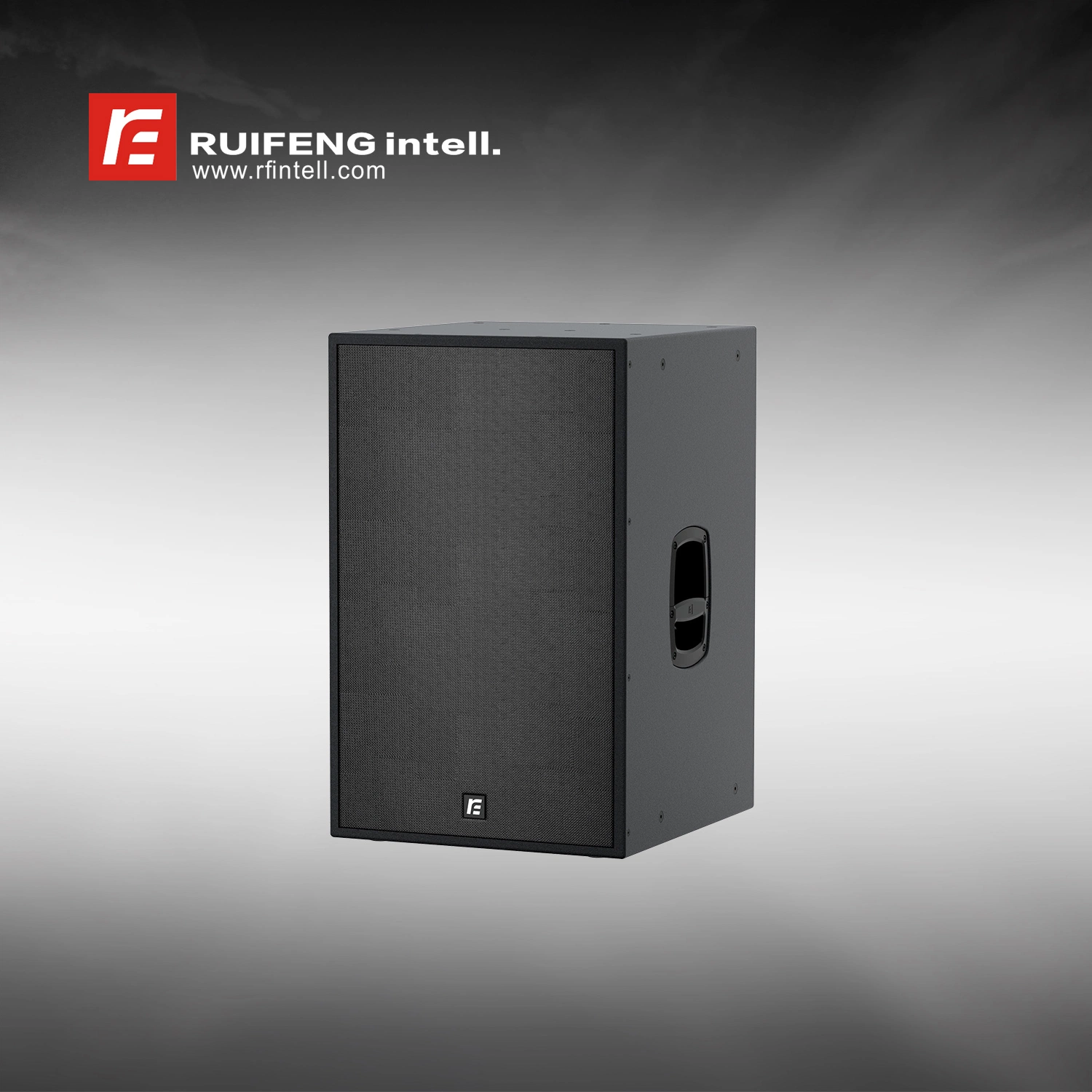 Ruifeng Intell. Audio 15-Inch Three-Way Bi-AMP Point Source Speaker/ B&C Original Speakers (Mh315)