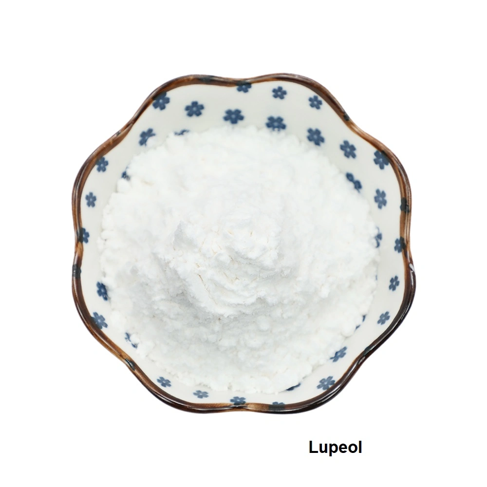 Pure Natural Lupin Extract Lupeol 98% CAS: 545-47-1