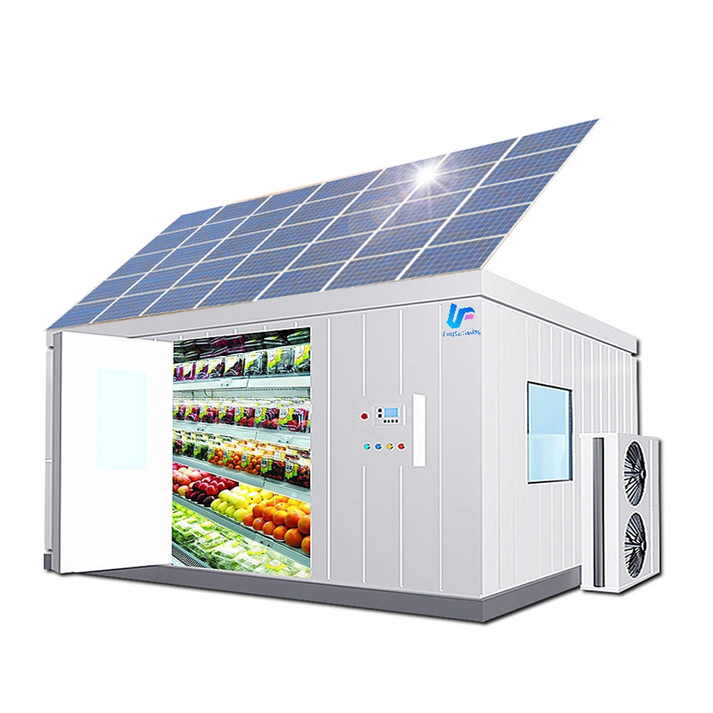 20 FT Solar Powered Container Kühlraum Lagerung für Fleisch Gefrierschrank