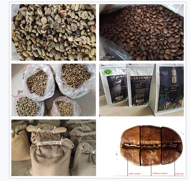 Yunan Green Coffee Bean or Rosted Coffee Distrubitor