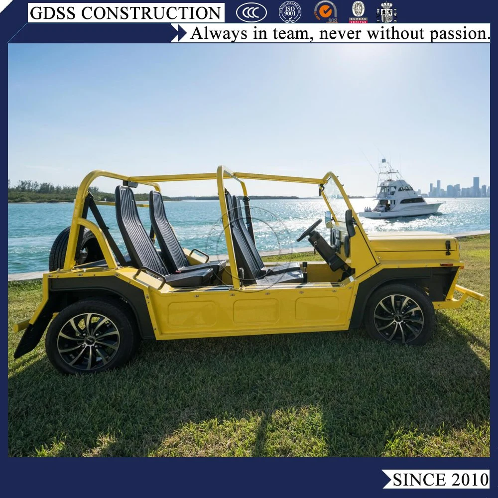 Gold Cart Gasoline Car Mini Jeep Moke