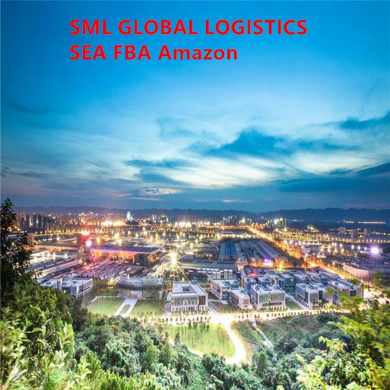 Air Cargo Service Freight Forwarder to Uganda/Rwanda/Tanzania/Burundi/Congo/Gabon/Sao Tome & Principe/Mozambique/Malawi/Zambia Sea Shipping Agents Logistics DDP