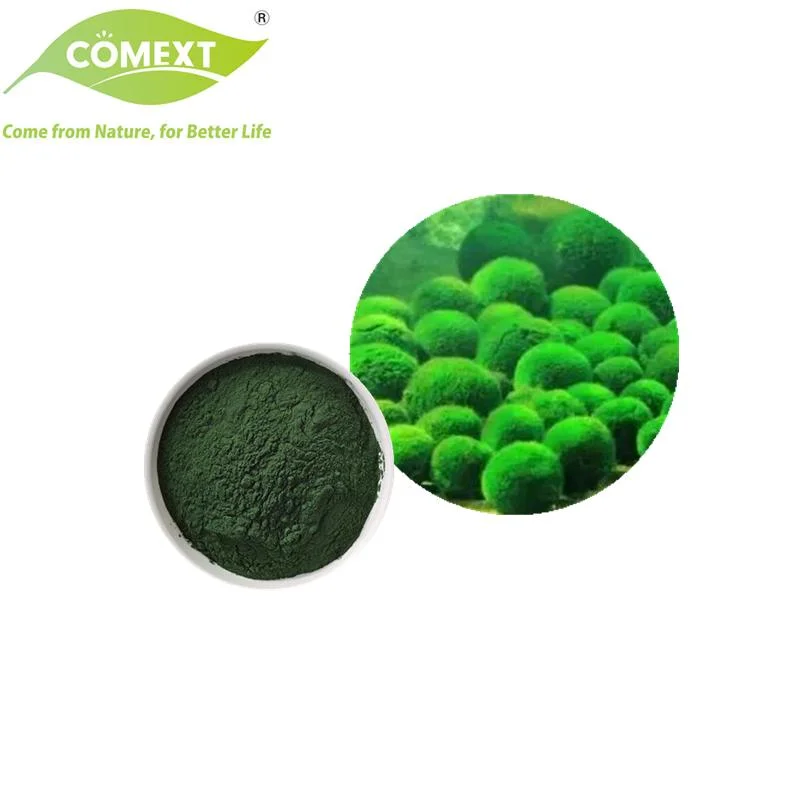 Comext Hot Selling Lower Blood Fat Nutritional Supplement Chlorella Vulgaris Powder Chlorella