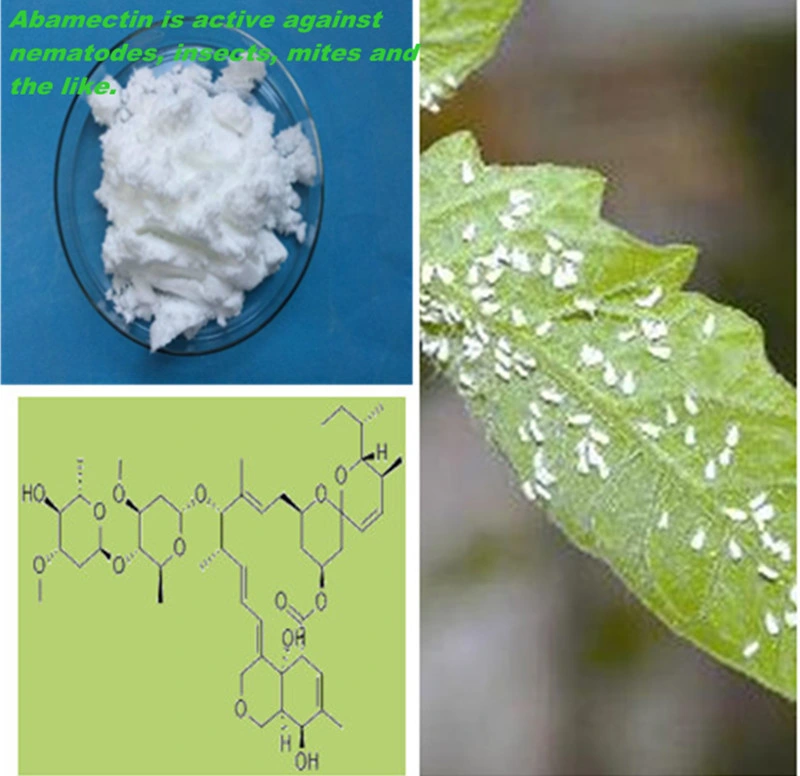 High quality/High cost performance Agriculture Insecticide Abamectin 95%Tc