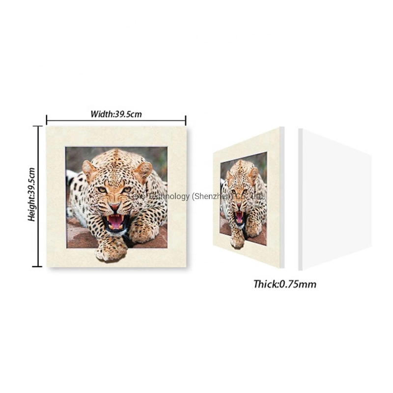 Top Sale 40X40cm Lenticular 5D Pictures