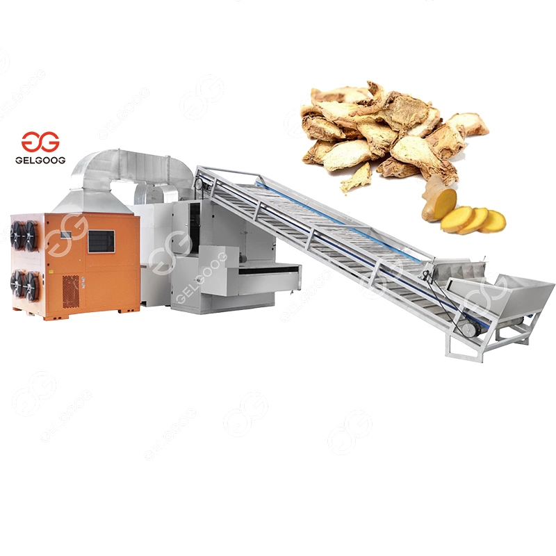 Gelgoog Dried Grape Raisin Continuous Belt Dryer Conveyor Drying Oven Equipment Belt Dehydrator Machine