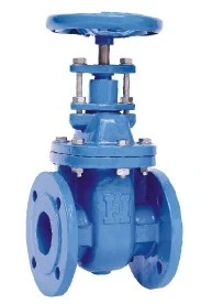 Soft Seal Gate Valve Flange Drain Gate Valve Ductile Iron Elastic Non Rising Stem Gate Valves and Fitting Manufacture