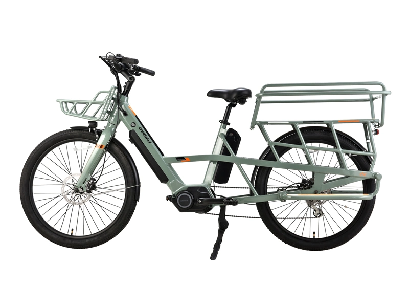 Elektro Motorrad Bike Cargo zwei Räder Elektro Cargo für Passanger 2Wheels Familie lange Schwanz elektrische Cargo Bike