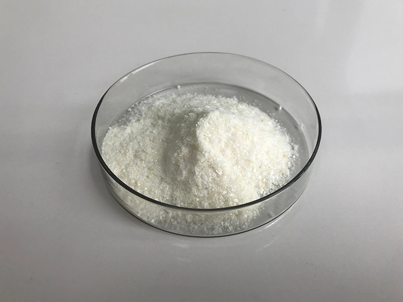 ISO Certified Manufacturer Supply Cholesterol Powder