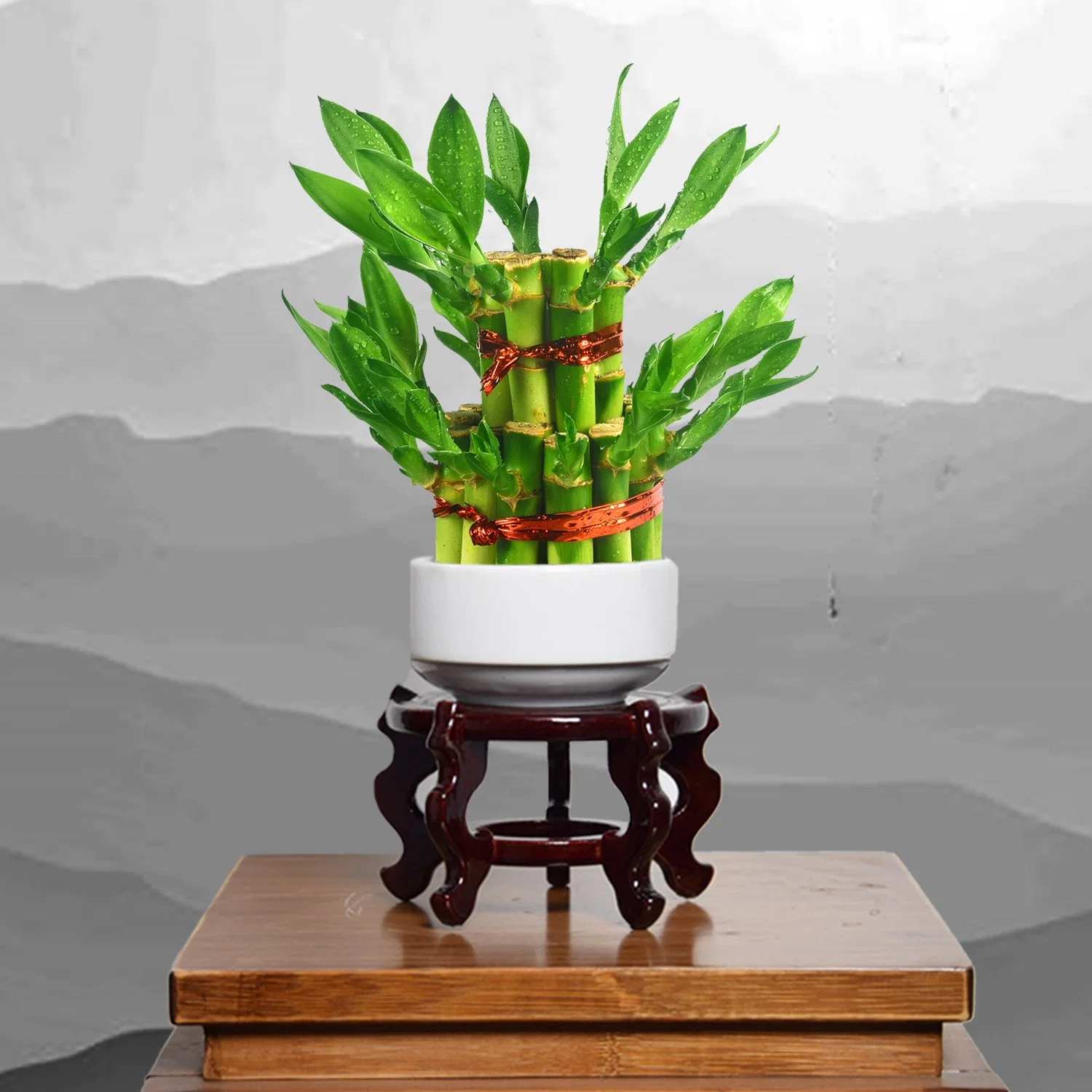 Grüne Pflanzen 2, 3 Tier Lucky Bamboo Tower für Feng Shui Home Growth