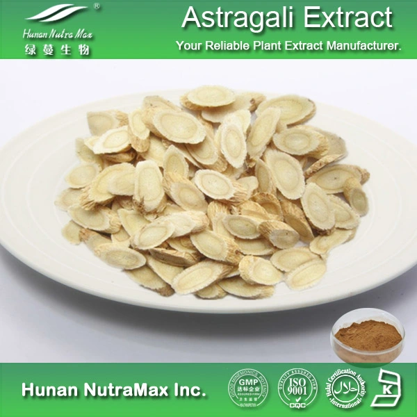 Astragalus Extract Powder Astragaloside IV 0.3%~98%