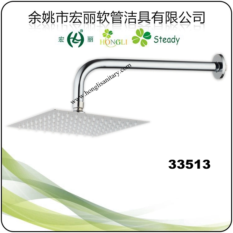 33511 Stainless Steel Shower Head with Stainless Steel Arm