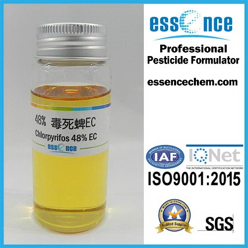 CAS: 2921-88-2 Agricultural Chemicals Insecticide Pest Control 48% Ec Chlorpyrifos