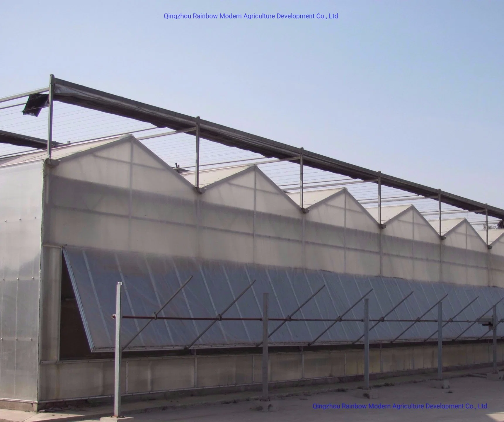 China Manufacturer of Venlo PC or Venlo Glass Greenhouse