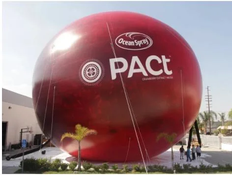 2023 New 60 FT. Huge Inflatable Cranberry Ocean Spray Pact