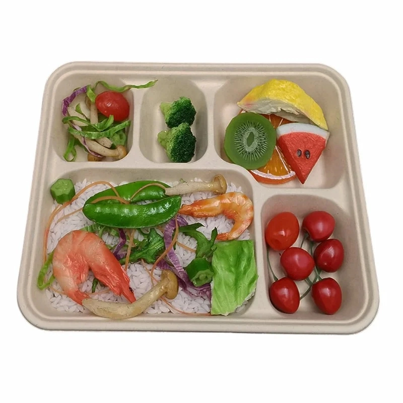 Biodegradable 5 Compartment Bagasse Sugar Cane Paper Pulp Lunch Box