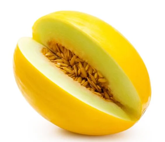 Graines de melons hybride Rock jaune melon les graines de semence