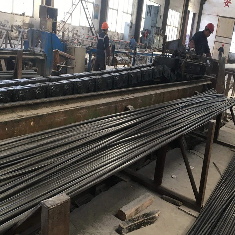 Spheroidizing Annealing Steel Wire for Fastener/Screw/Auto Parts/Machinery Tie Rods