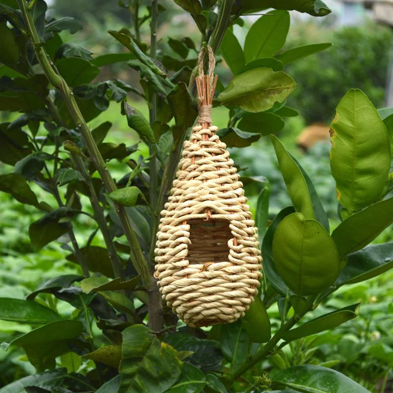 Décoration de l'extérieur Jardin de l'habitat des oiseaux de la pendaison d'oiseaux en bois de bricolage Chambre Birdhouse