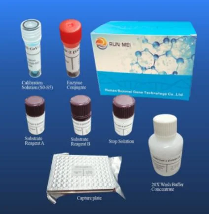 CE FDA Approved PCR Elisa Kit Transplant Factory Supply for Hospital Clinic Lab Use